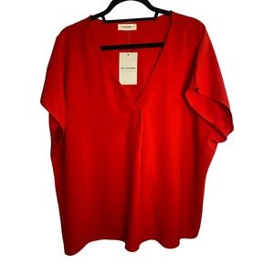 Red v-neck blouse